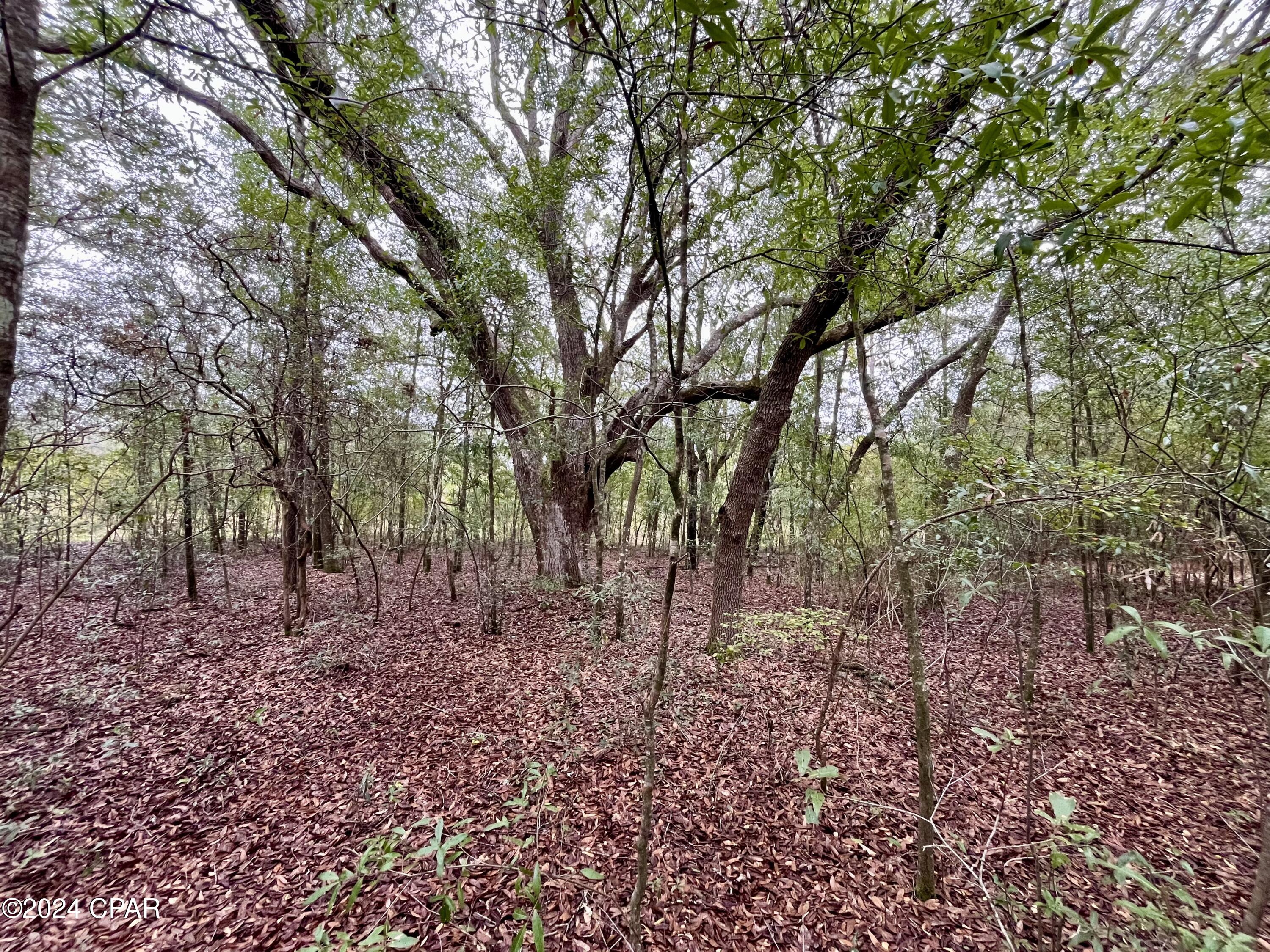 Sunny Hills Unit 1 - Land