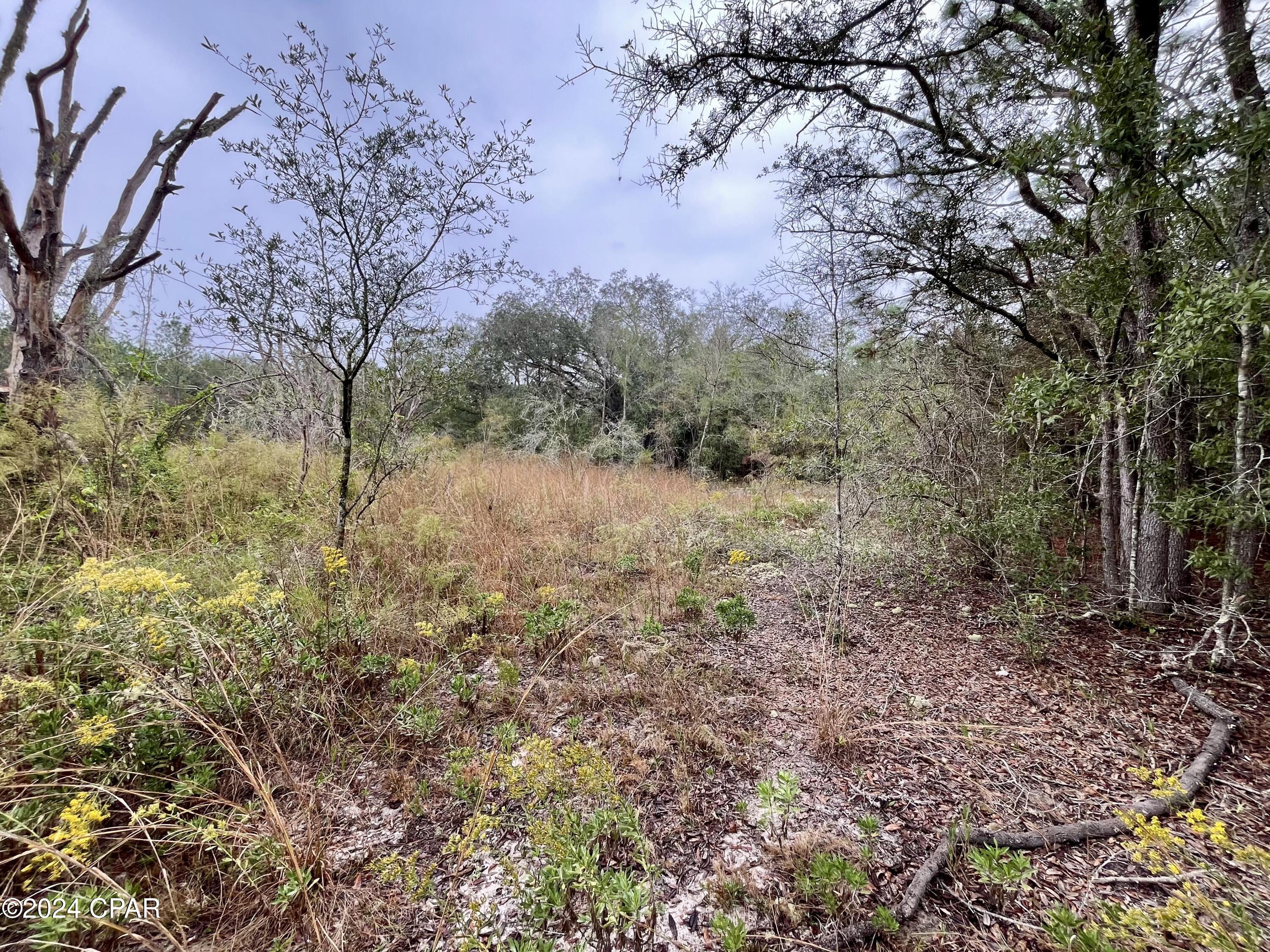 Sunny Hills Unit 1 - Land