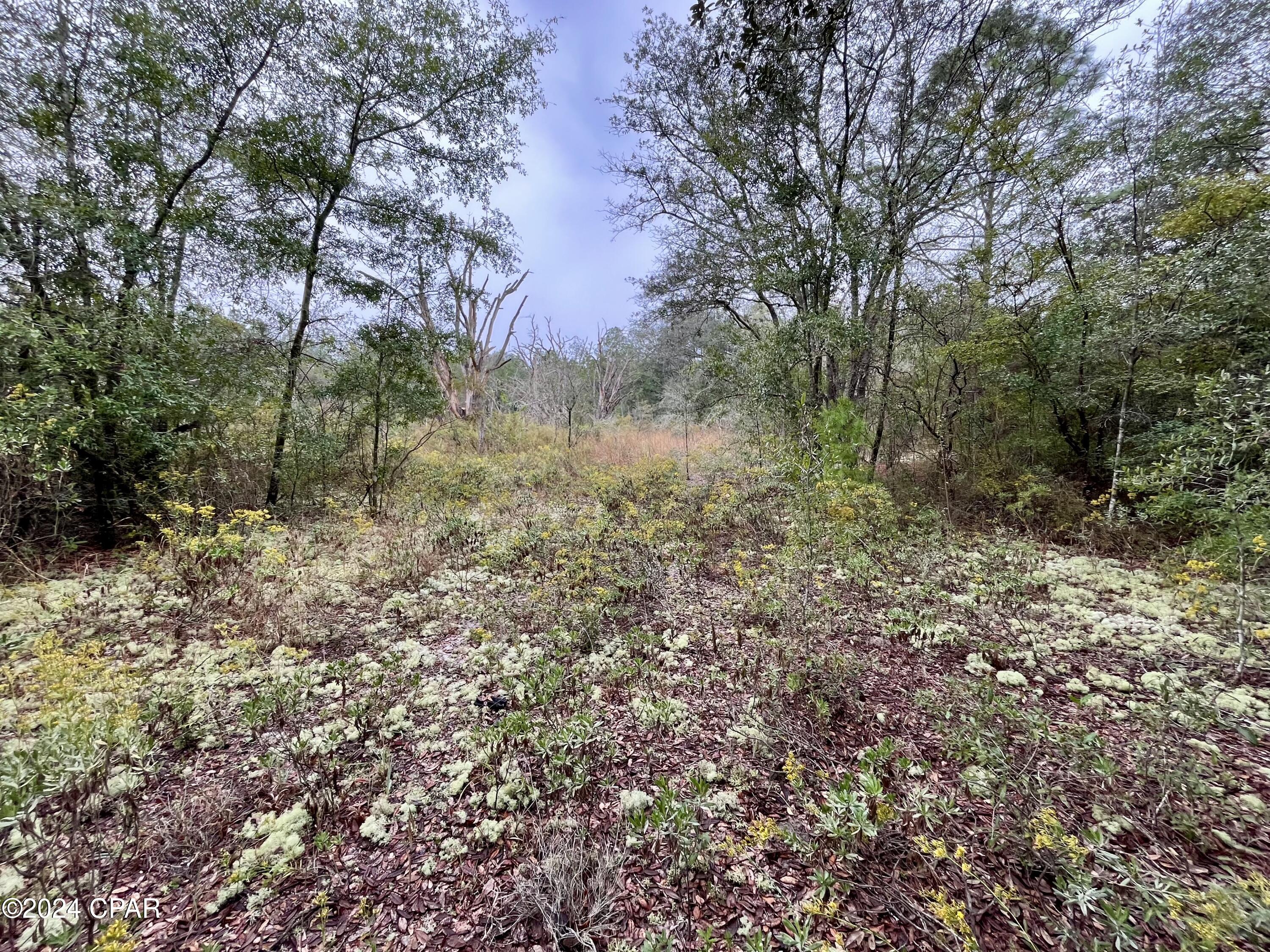 Sunny Hills Unit 1 - Land