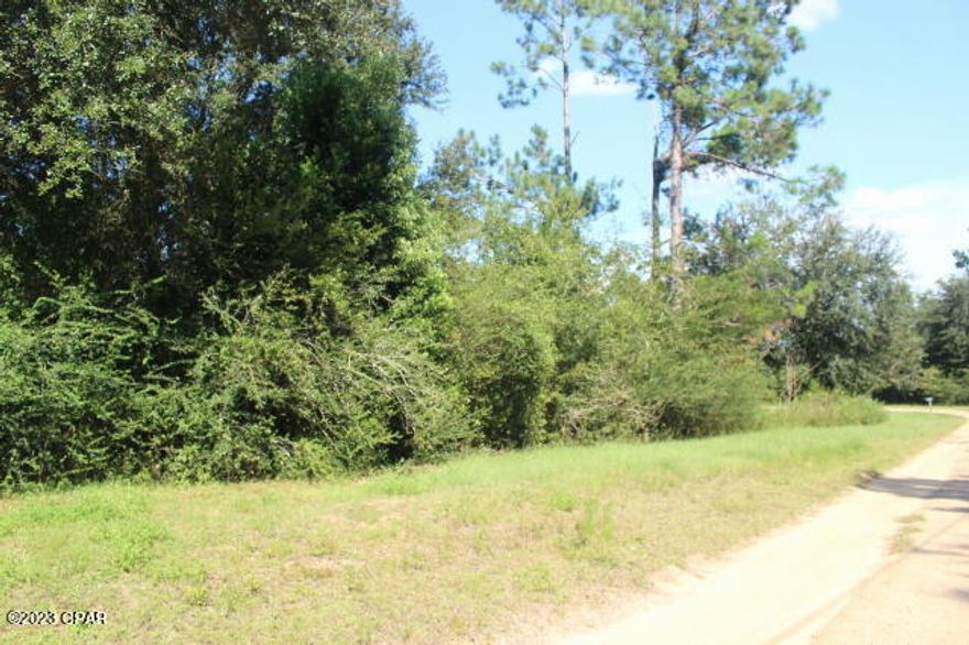 Wooded lot in the town limits of Alford. Nice homes in the area. Close drive to Hwy 231. North to I-10 and South to Panama City to Beaches.  Want more room, the adjoining lot is also available for sale.  See MLS 745182.
