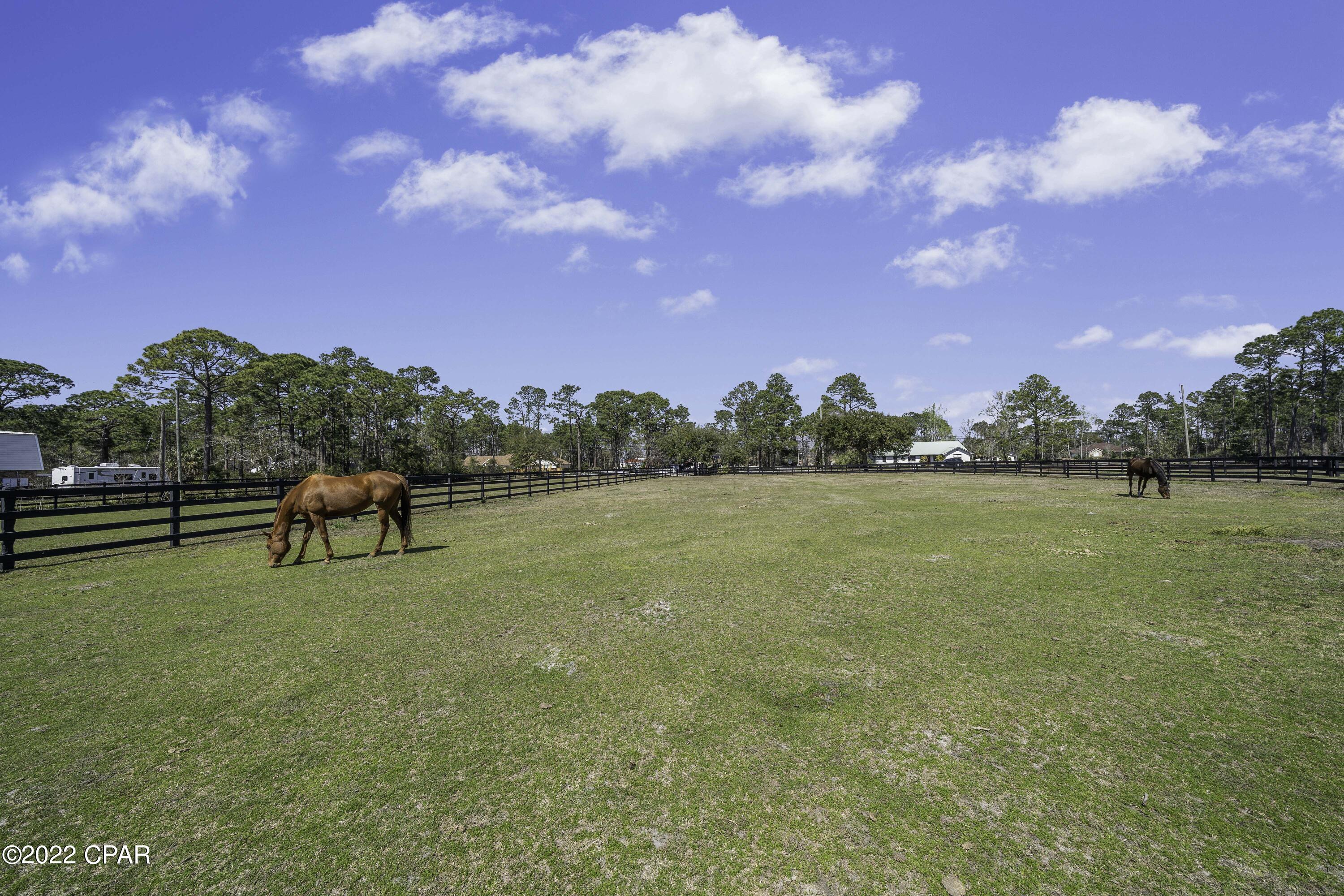 Thomas Drive Park U-2 - Residential