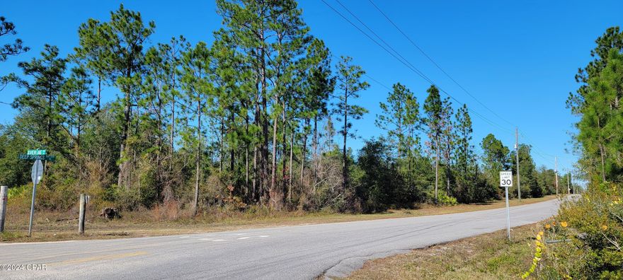 BEAUTIFUL NET 4 ACRE HOMESITE ON CORNER LOT. BOTH ROADS ARE PAVED COUNTY ROADS. THIS IS COUNTRY LIVING AT ITS BEST.ALL INFORMATION IS FROM PUBLIC SOURCES. BUYER SHOULD CONDUCT PROPER DUE DILIGENCE.