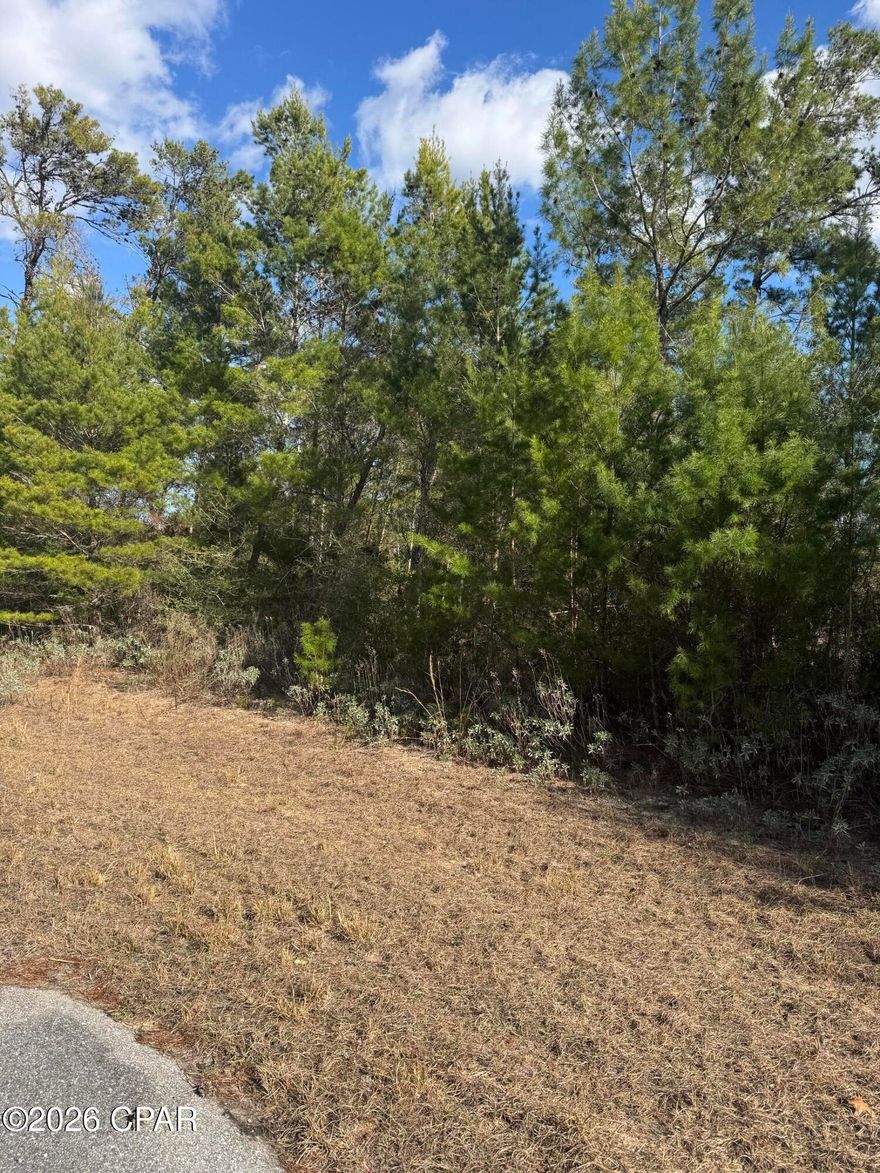 Great lot in South Washington County only 45 minutes to the World's Most Beautiful Beaches . This lot is wooded and backs up to Water Management Property , its not around any other homes at the moment. You would need to  install a septic tank and water well , This is a great opportunity to own a piece of property in Florida at a great price.