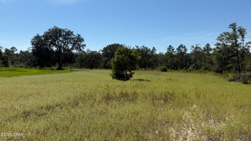 This 280 acres is a hunting paradise with deer, turkey & dove hunting. The property was High Fenced in the past but has Hurricane Michael damage. There's 179 acres of clear cut timber land growing natural, and 93 acres Gum, bay, Cypress and scattered pines. Lots of road frontage on both sides of Jewel Road.