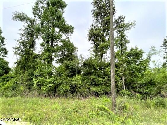 Compass Lake Hills Unit 5 - Land