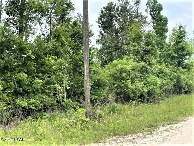 Compass Lake Hills Unit 5 - Land