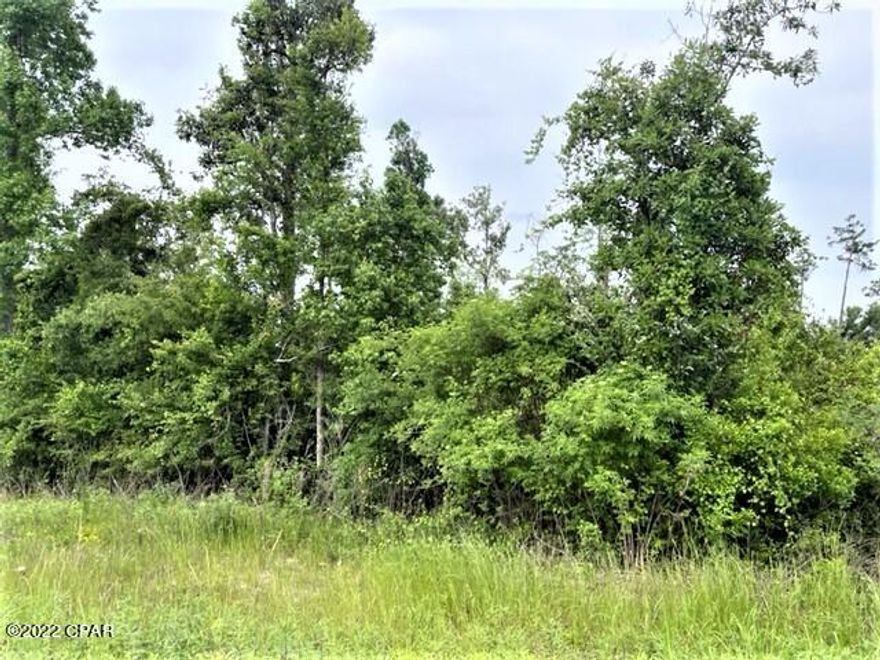 This is a beautiful wooded lot in lovely Compass Lake Hills.   The lot is just over an acre and just right for your new home.  The area is full of beautiful birds, lots of wildlife and a great place to live.  You have access to 2 lakes nearby and you have easy access to Marianna to the north for shopping and just about a 35-40 minute drive south to Panama City on the coast.