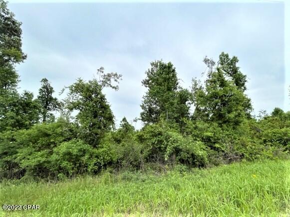 Compass Lake Hills Unit 5 - Land