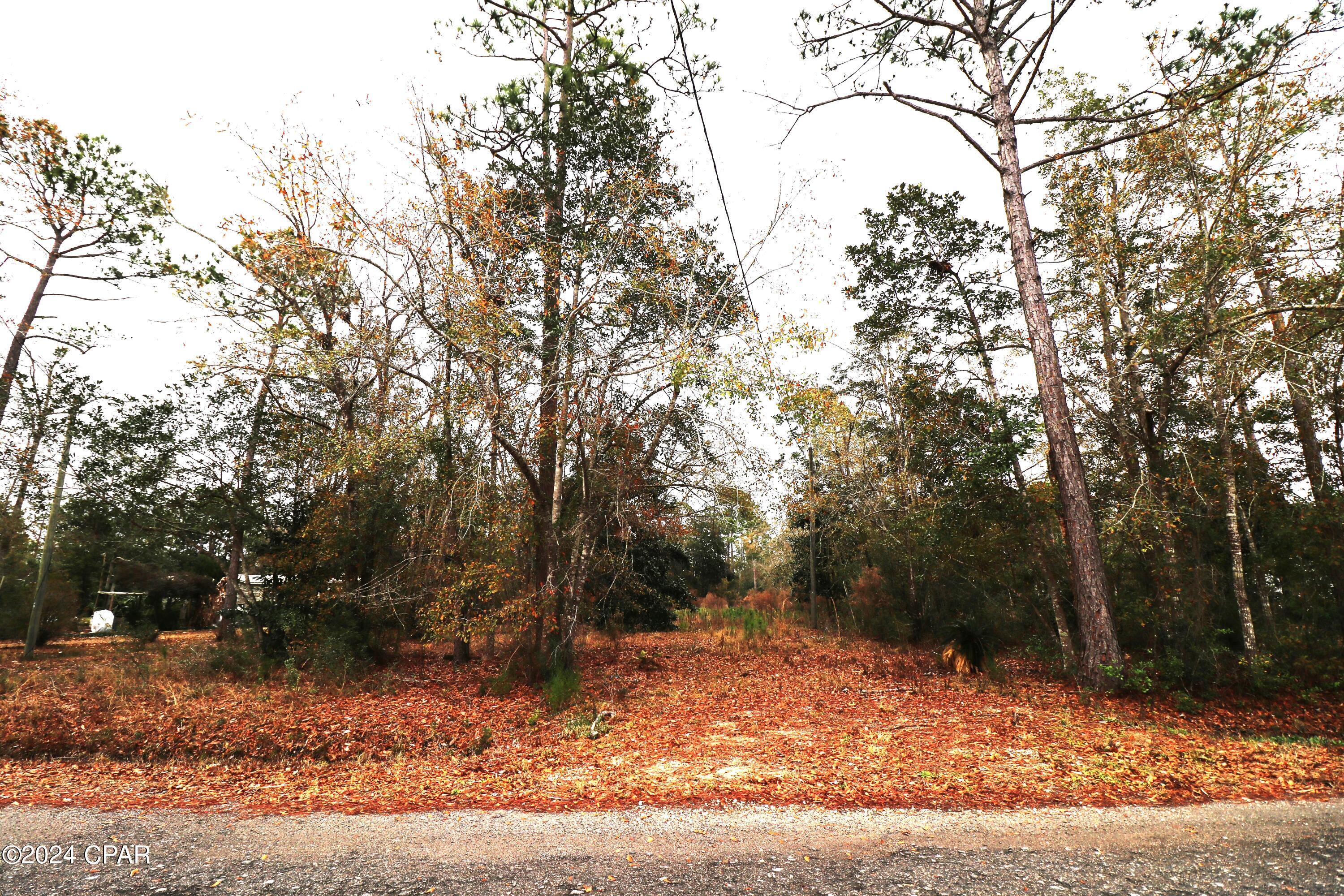 Burnt Mill Creek - Land