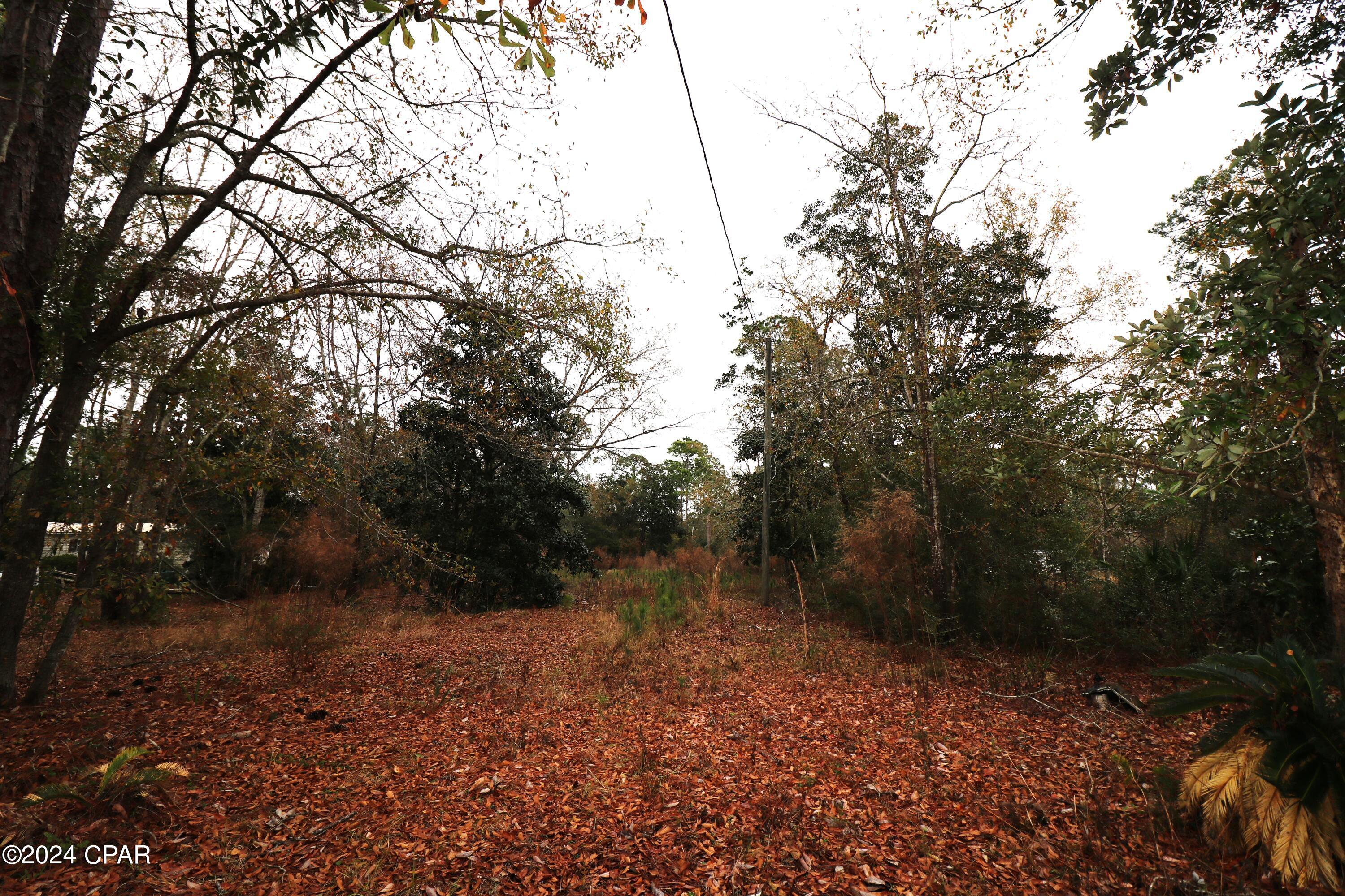 Burnt Mill Creek - Land