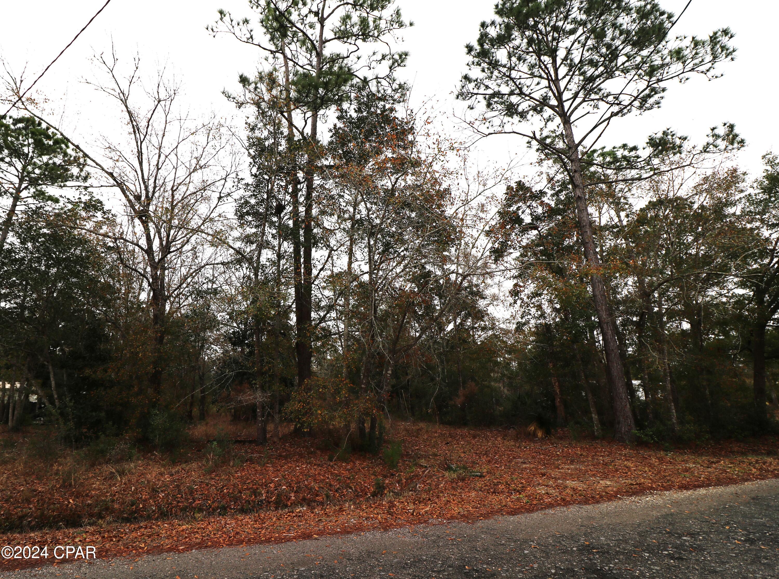 Burnt Mill Creek - Land