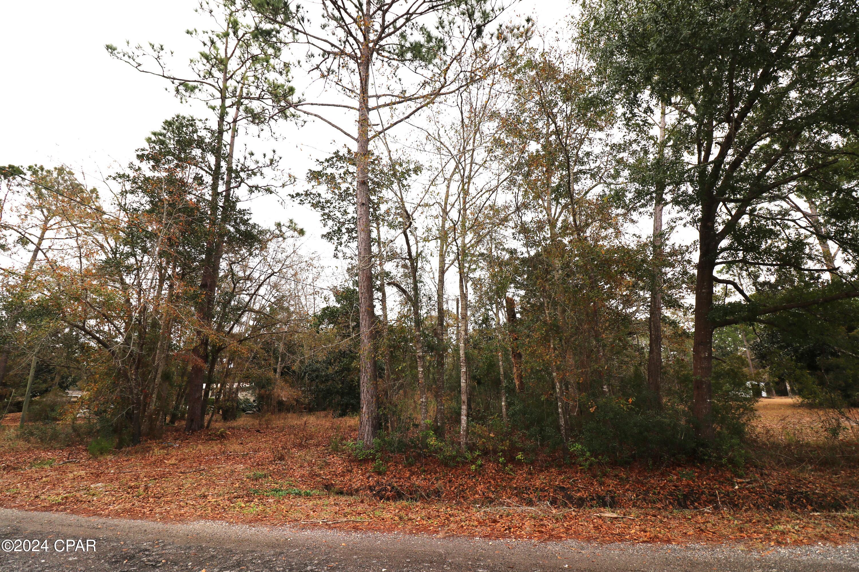 Burnt Mill Creek - Land