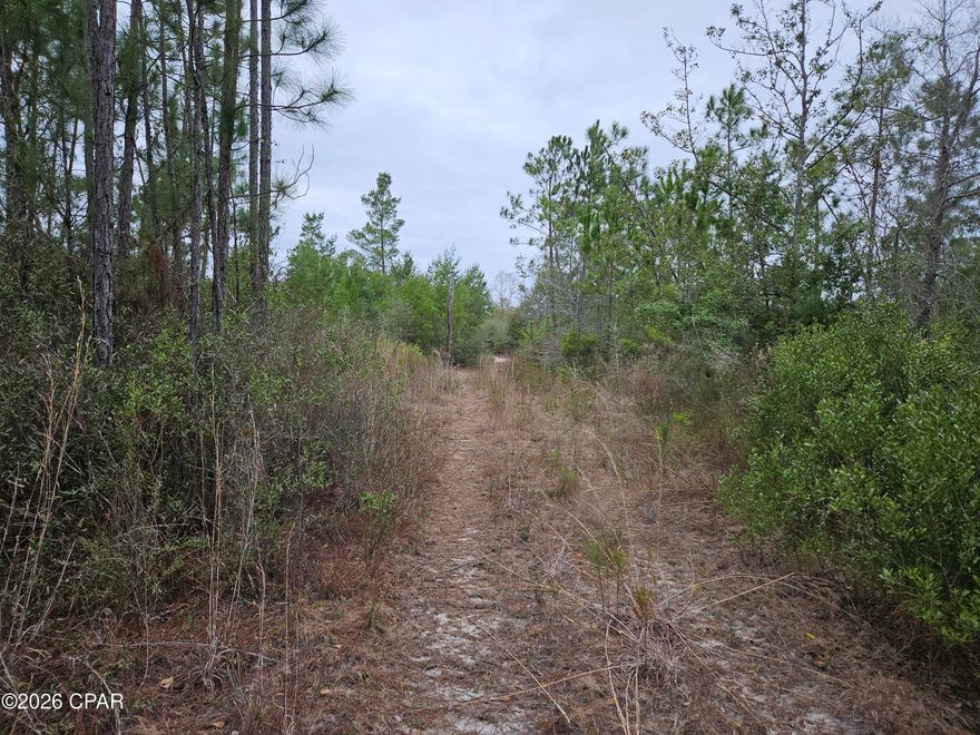 Looking for about 10 just outside Panama City with room to grow? Here is a flat 10 (+/-) acres ready for your home. The flat acreage is on Singer Road just a mile off Hwy 20 that offers privacy and plenty of room for a home, pole barn, out buildings, or space for your horses. The lot has not been improved so new owners can shape it with clearing or leave it wooded except for what is essential to specific needs. Located just inside Washington County, it is only a few miles off Hwy 231 with quick access to Panama City. The county is working on paving Singer Road and informed residents of their intent. Click on 'Documents' to see the letter sent to the property owners.