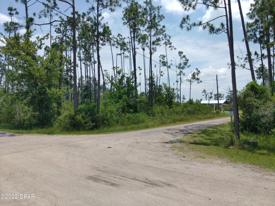 Just around a half hour from the Tyndall main gate; this one acre property in a quiet country neighborhood can offer a generous lot for a custom home with room left for your imagination.