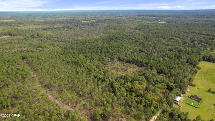 Explore your very own 210 acres of pristine wilderness, a true hunter's paradise awaiting your adventure. With the potential for so much more, this expansive raw acreage is a hidden gem. Whether you're an avid hunter looking for your own private wilderness, a camping enthusiast seeking a secluded escape, or someone with a vision to build serene rural retreats, this offers endless possibilities.
 
Two parcels are included in this remarkable offering. The first parcel, 00000000-00-5130-0000, boasts a unique blend as 1/3 of this parcel is designated as Agriculture Flood Zone X, allowing for the possibility of one home per every 10 acres. 2/3 is Conservation, ensuring its preservation and natural beauty. 
The second parcel is the reverse with 2/3 being buildable and 1/3 being conservation.

On the second parcel, 00000000-00-5130-0002, you'll find a landscape that's equally captivating. Approx. 56% of this parcel is designated as Flood Zone X, with 2/3 of the land being available for agriculture, once again allowing for one home per every 10 acres.

The remaining 1/3 of this parcel is designated as Conservation Flood Zone A, providing a stunning natural habitat. A picturesque pond or water feature graces the southwest side of the property, adding to its charm. 

Don't miss out on the chance to make this pristine acreage your very own. Contact us today to learn more and take the first step toward realizing your dreams in this natural paradise.