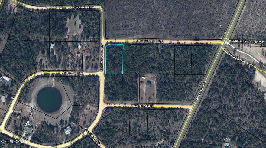 Beautiful lot to either build your dream home or place your new manufactured home in the unique community of Compass Lake in the Hills.  No mandatory HOA but if you choose to be a member you will have access to all the amenities that the association offers. These include swimming pool, tennis courts, cabin rentals, RV spaces, and more. Quiet, peaceful country living, yet still a reasonable commute to Panama City and all that is offered there.