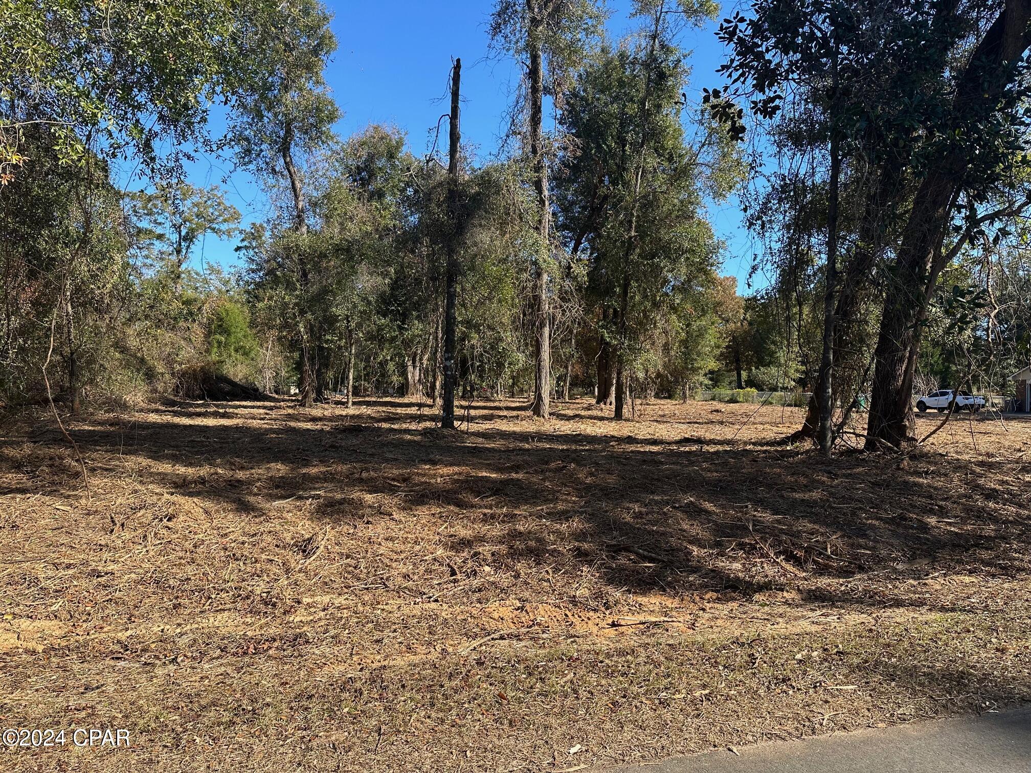 Indian Springs Golf Course - Land
