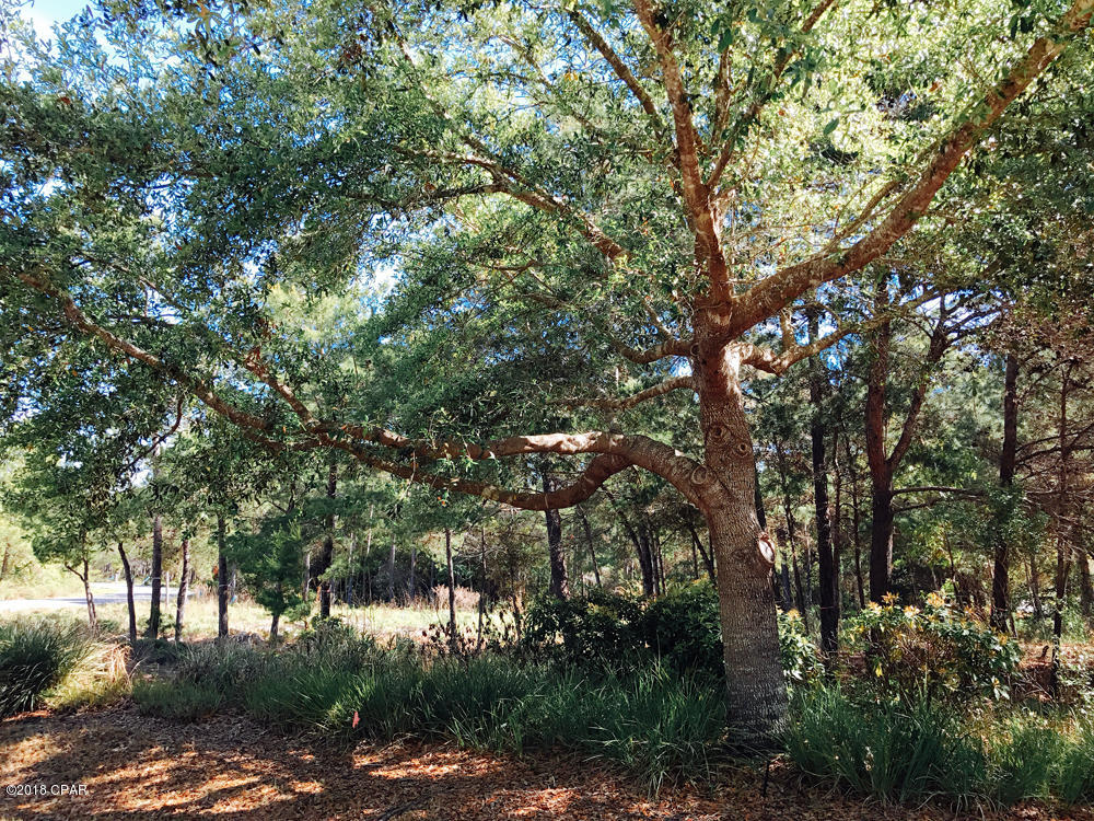 Wild Heron Phase I - Land