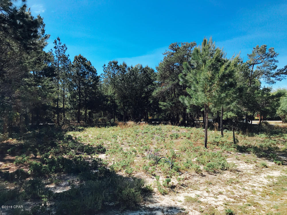 Wild Heron Phase I - Land