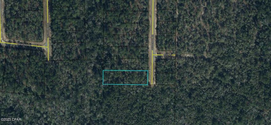 Huge building lot in the rapidly growing Sunny Hills community. This lot is .649 acres and backs up to a greenbelt area. There is a lot of new construction taking place here to accomodate the growth moving north out od Panama City. Sunny Hills features a popular and affordable 18 hole public golf course, many fine fishing lakes, and the white sand beach swimming area of Boat Lake. This community is located approximatel 25 miles north of Panama City and 18 miles south of Chipley. With the ongoing 4 laning of HWY 77 the commutes will be even easier. Deed restricted community (no mobile homes) and no HOA! Great opportunity to invest in the future of the Florida Panhandle or build your dream home! Buyer to pay title insurance, closing fee, and doc stamps on the deed.