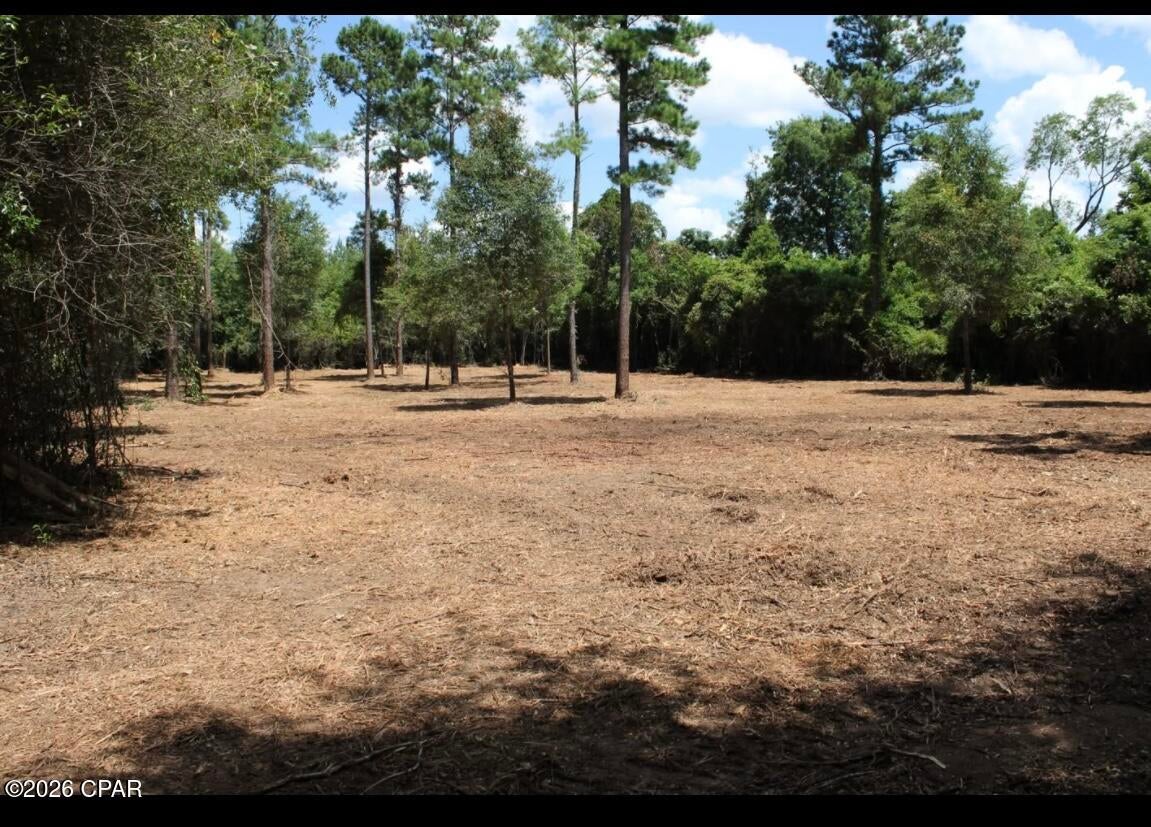 00 Reserve Drive