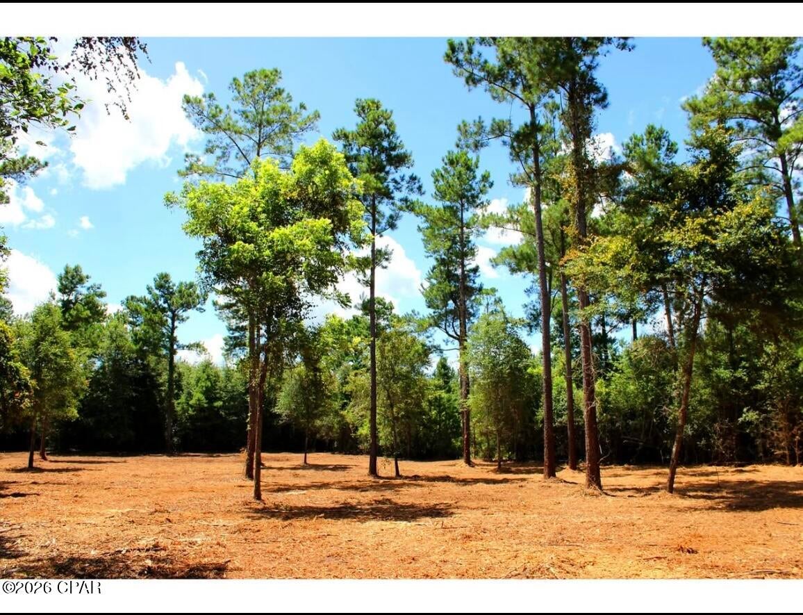 00 Reserve Drive