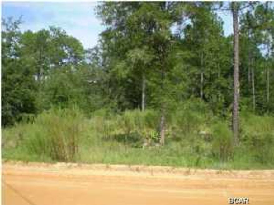 Great opportunity to own land for your Home or Manufactured Home. Lot is on the corner of Rollohome and Vagabond.  Well and septic tank on site but not guaranteed.