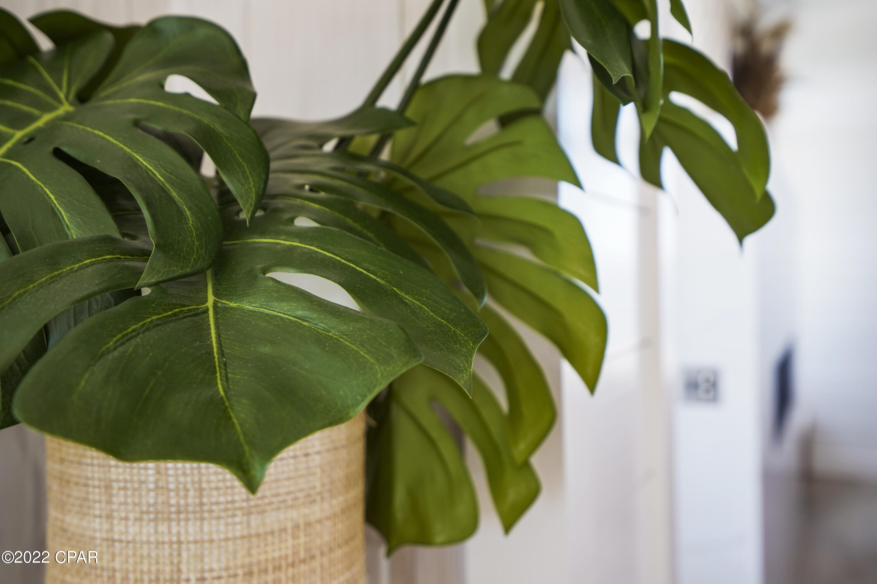 Cape San Blas - Residential