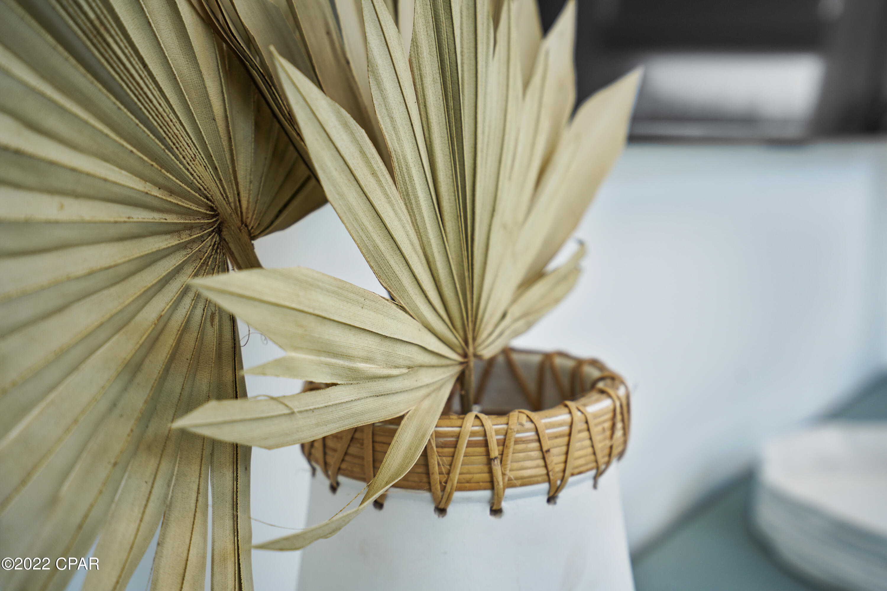 Cape San Blas - Residential