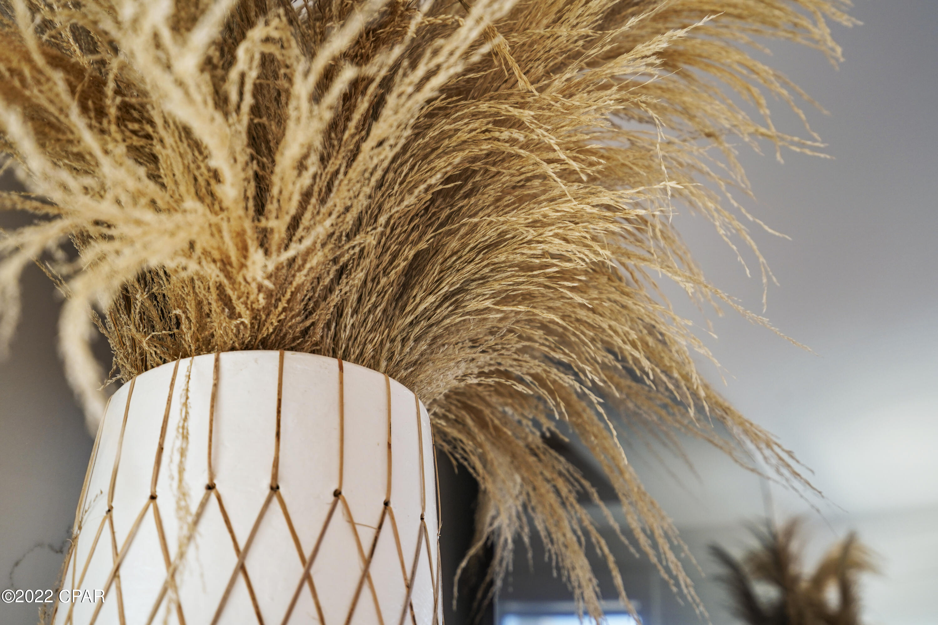 Cape San Blas - Residential