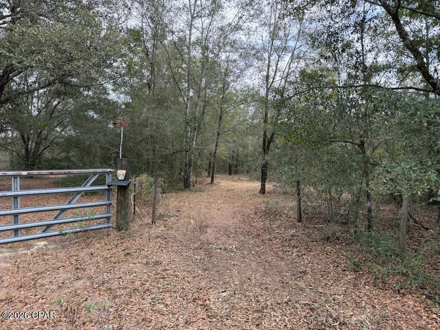If acreage and seclusion are what you're looking for, this is the perfect place to put down roots. This beautiful 5± acre parcel offers the privacy and elbow room you've been dreaming of, while still keeping you conveniently connected to everything you need. Located just a few miles from Highway 231, you'll enjoy a quick, direct drive south to the white-sand beaches of Panama City Beach or north to Dothan for shopping, dining, and everyday conveniences.
Recently mulched, the property is cleared and ready, giving buyers a valuable head start on creating their ideal homesite. With plenty of space for a custom home, workshop, garden, or even a small hobby farm, this versatile tract offers endless possibilities.