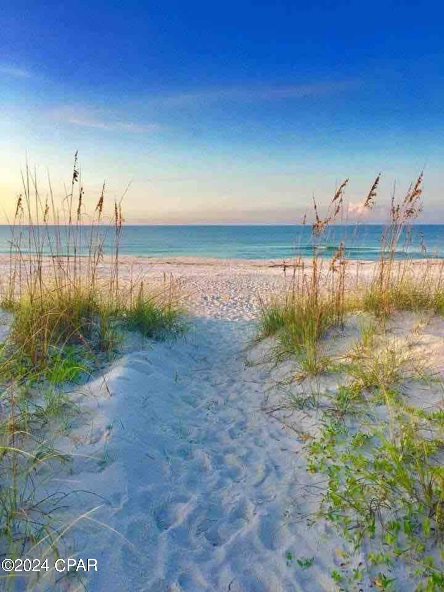 Palm Cove - Residential