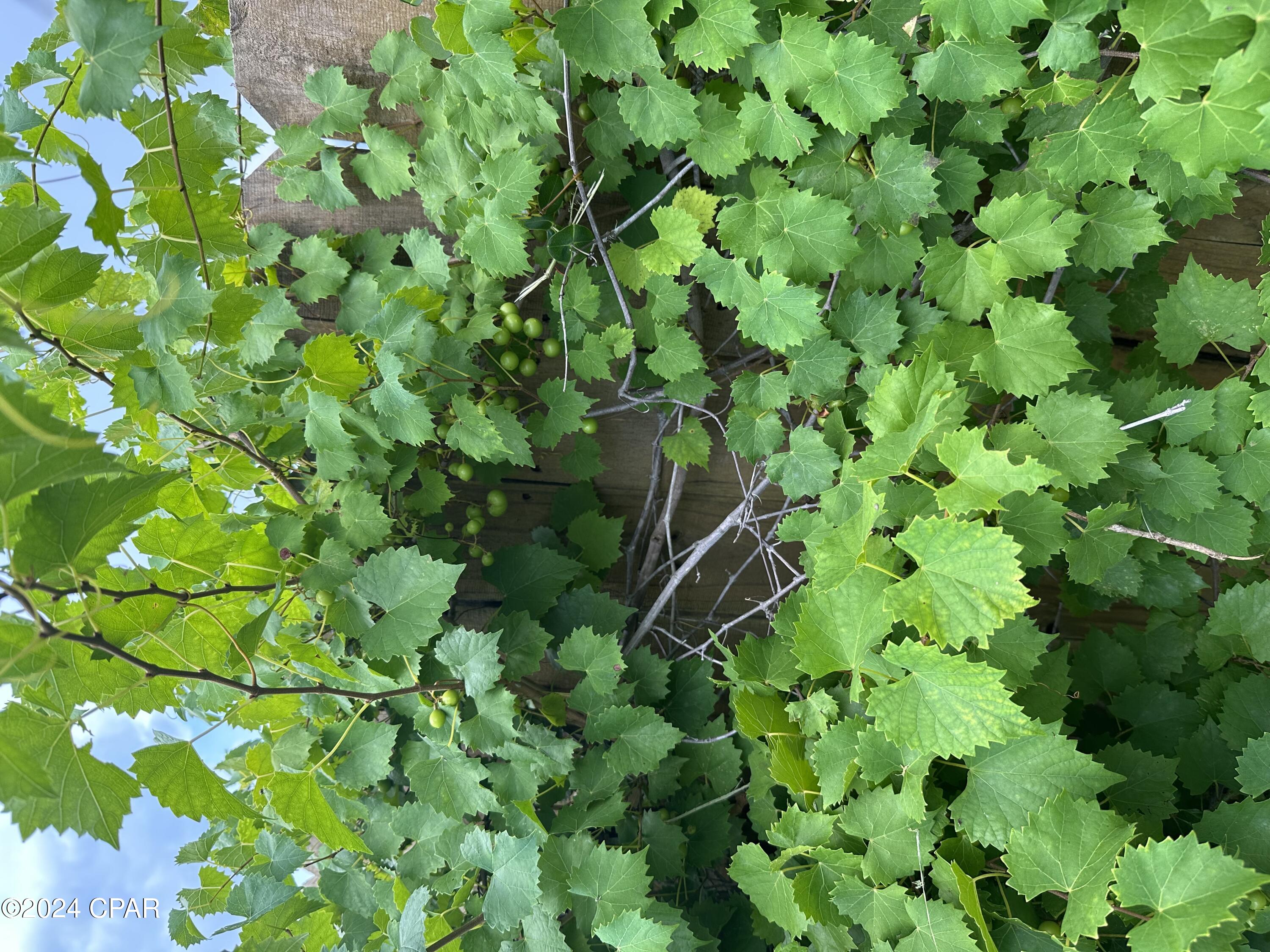 King Estates Unit 2 - Residential