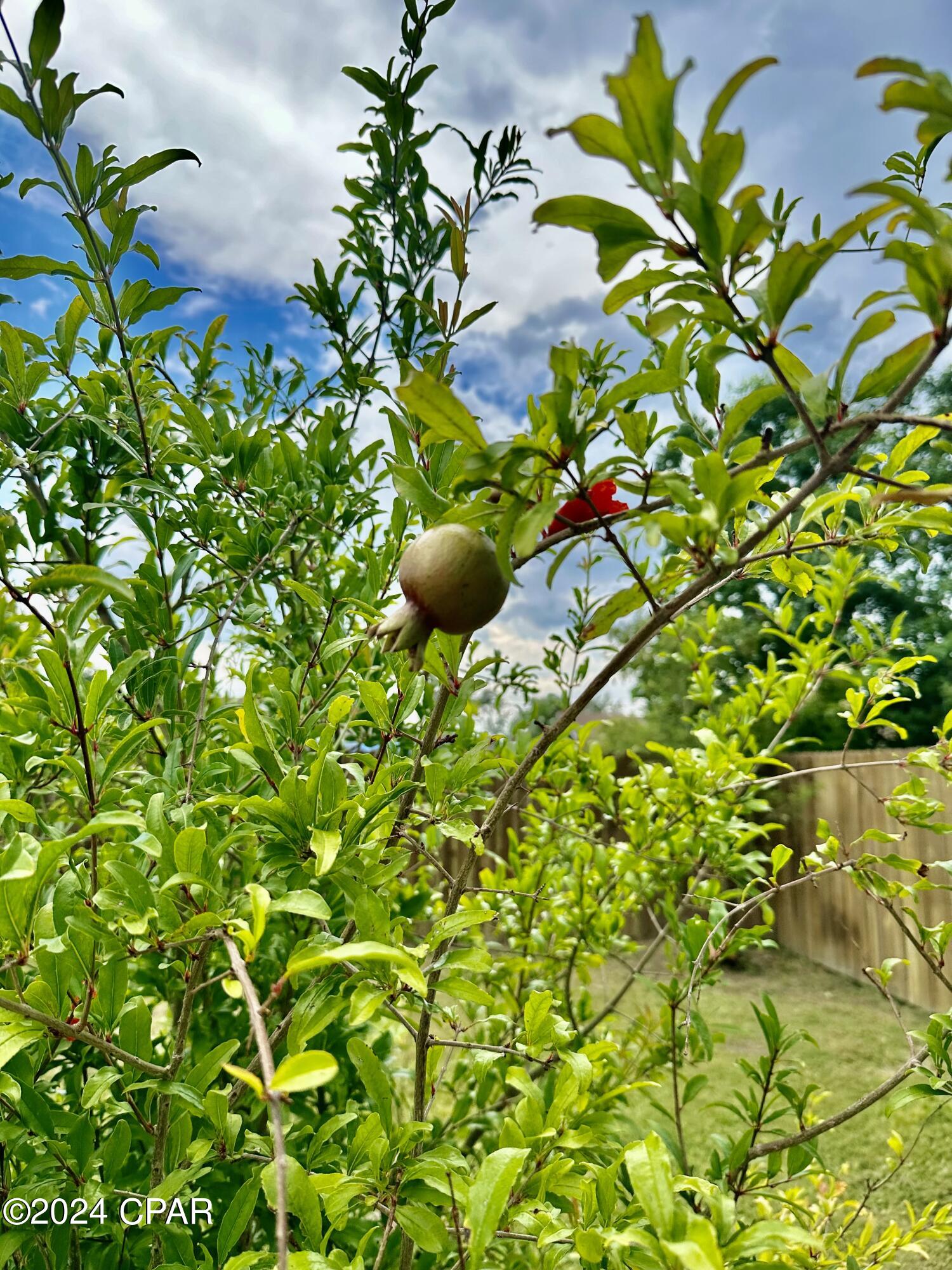 King Estates Unit 2 - Residential