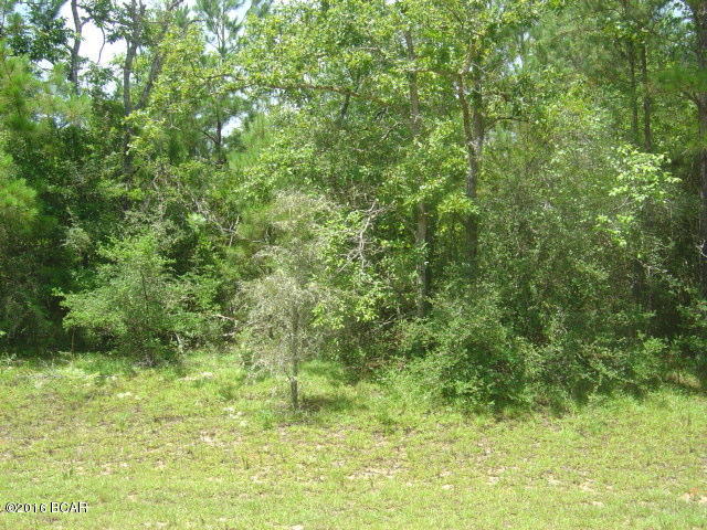 Compass Lake Hills Unit 6 - Land