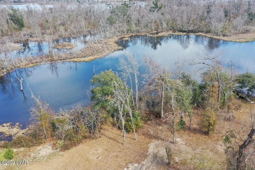 Waterfront lot on LAKE SEMINOLE!! This is a rare find to a vacant lot on the Florida side of Lake Seminole.   This canal will take you to a world class bass lake with great all around fishing as well as duck hunting.  Take the boat out on the water where the Flint River, Chattahoochee River and Apalachicola River meet creating the expansive stretch of water known as Lake Seminole. The lake is a spectacular 37,500 acres and borders Florida, Georgia and Alabama.  If permitted, build a dock, and/or a home and enjoy this wonderful piece of paradise.   Owner/Broker.  Call today for your appointment!!