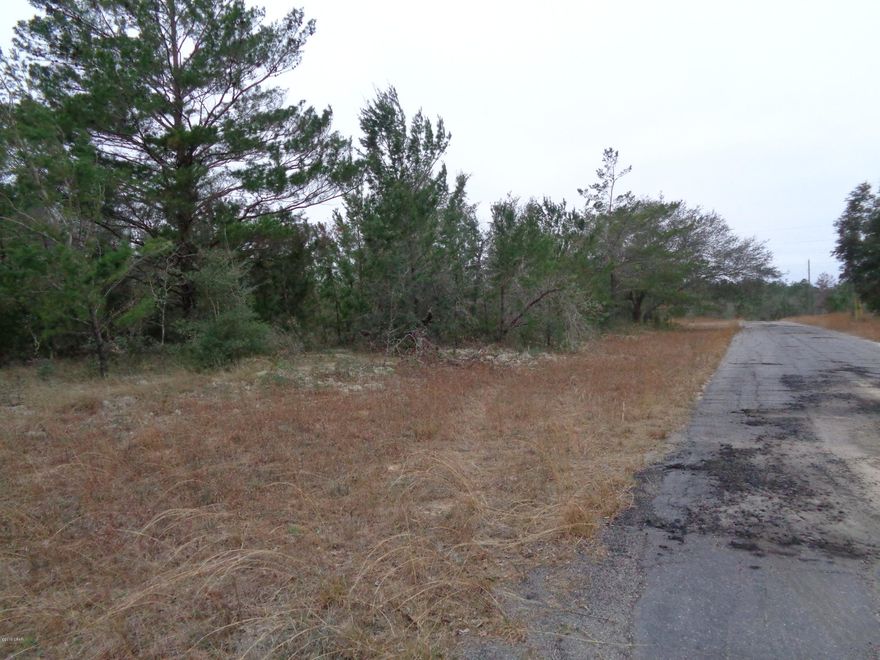 Great lot in Sunny Hills . Some restrictions do apply. Site built homes only. Golfing at its finest. There are several lakes in the area for swimming and fishing. The 4 adjoining lots are also available.
