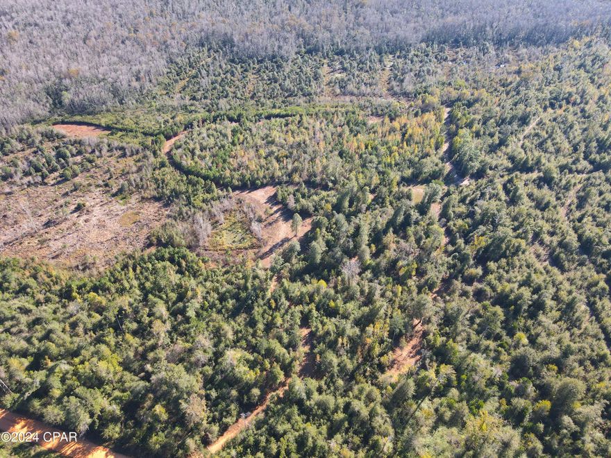 *91.16 Acres in Jackson County, Florida**
Located on Brushey Pond Road, this ideal tract of land is perfect for whitetail deer and duck hunting. This is an amazing opportunity to purchase an affordable piece of property within a few miles of Interstate 10. The property is connected to Dickson Bay, a 200+ acre private cypress pond. Neighboring landowners have reported seeing numerous ducks in the evenings as they descend on the cypress pond. 

Additionally, this cypress pond is situated near popular public duck hunting locations, including Ocheesee Pond and Lake Seminole, aligning your property with the natural flyways of the ducks. If you're searching for a place to hunt deer, this tract has all the qualities you need. The cypress pond creates a pinch point, encouraging deer to move north and south through the property. During my first visit to the land, I spotted multiple deer in the middle of the day. The property has not been hunted in decades, providing plenty of opportunities to harvest a trophy.

The landowner has recently hired a clearing crew to create roads and trails, making navigation seamless. Additionally, several spots have been opened up that would be ideal for deer food plots and treestand sites. 

**Key Features:**
- Beautiful country homesite location
- Road frontage (no access limitations)
- Convenient to I-10, with nearby gas stations
- 200+ acre private cypress pond
- Recently built roads and trails for easy navigation
- Excellent whitetail deer and duck hunting location
- Recreational paradise with abundant wildlife, including whitetail deer and turkeys
- Location: 3.7 miles to Grand Ridge, FL; 54 miles to Tallahassee, FL; 67 miles to Panama City, FL

**Investment Potential:**
- The lowest price per acre for this size property currently listed in Jackson County, FL

**Recreational Oasis:**
Whether you're hunting for whitetail deer or ducks, observing wildlife, or simply enjoying the peaceful surroundings, this property offers the perfect escape.

**Opportunity Awaits:**
- Ideal for both recreational use and long-term investment
- Suitable for hunters seeking a weekend getaway
- Great location right off a paved highway
- No current survey available