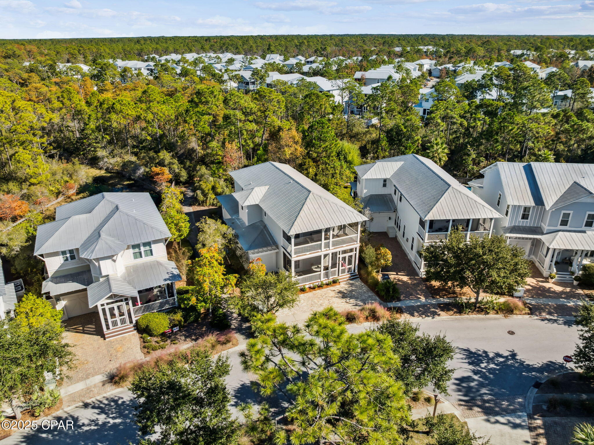 Naturewalk At Seagrove Beach - Residential