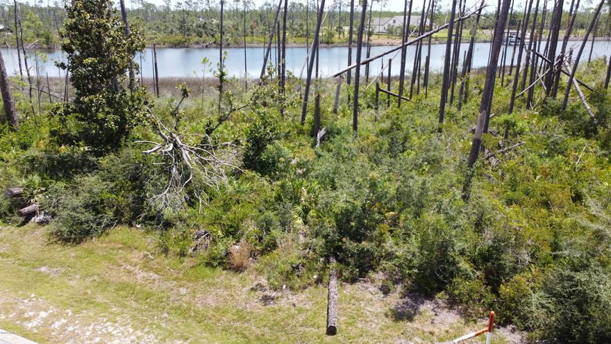 New on the market. Beautiful Deep water dockable in Laird Point. 144 feet on the water. Not all waterfronts in this community can have a dock per the HOA. This one can! Plenty of year round depths for large boat. Only a very short dock is needed. Very protected. Laird Point is a gated waterfront community with underground utilities and city water and sewer. Priced to Sell!!!