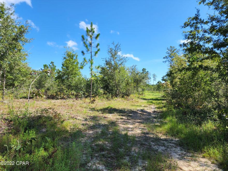 Partially cleared acreage, well maintained. Perfect to build your own private sanctuary, create a space for livestock, or have plenty of roaming space for horses. Property has 2 natural springs that come together into a small ravine. Check it out today!