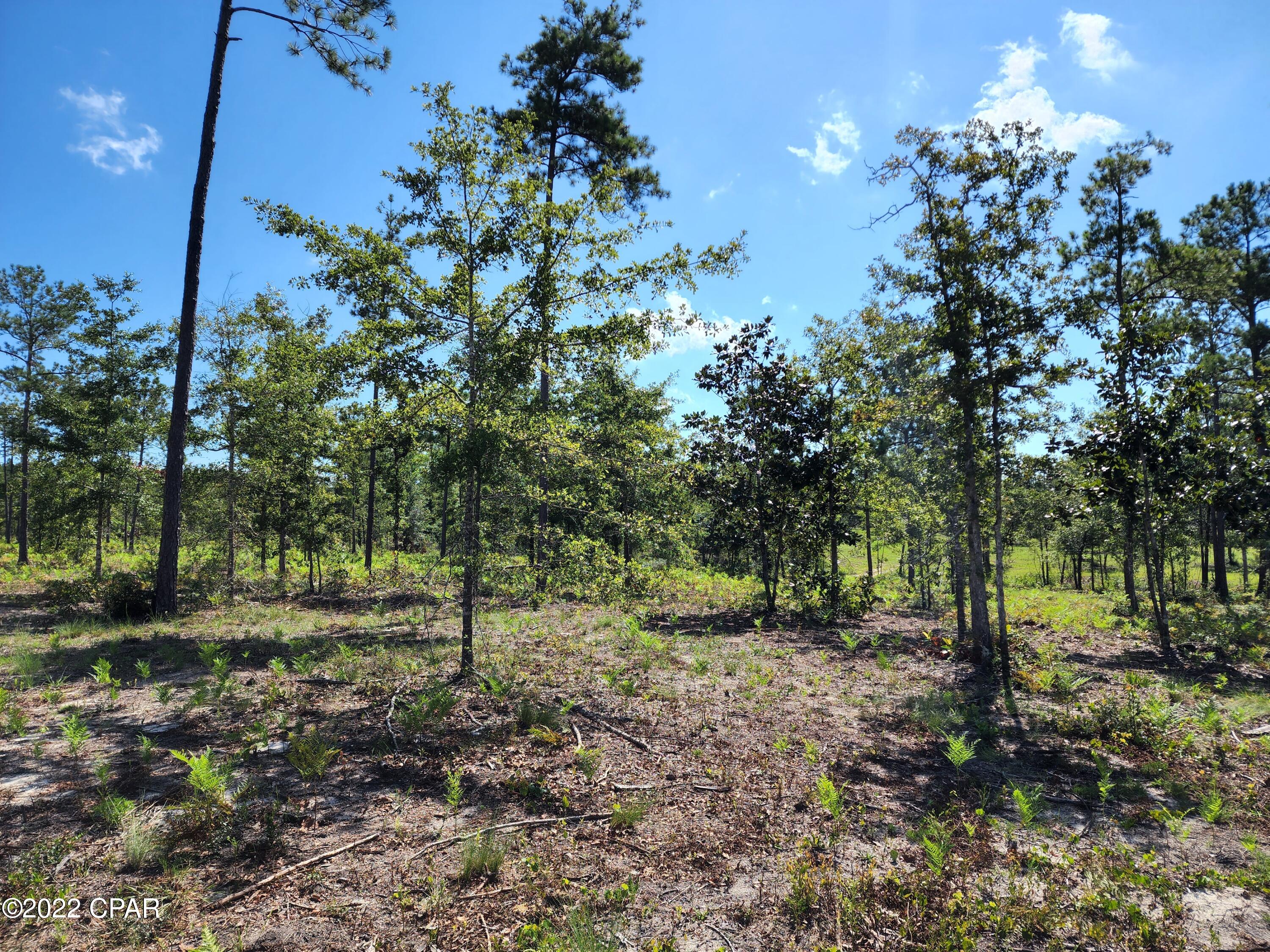 [No Recorded Subdiv] - Land