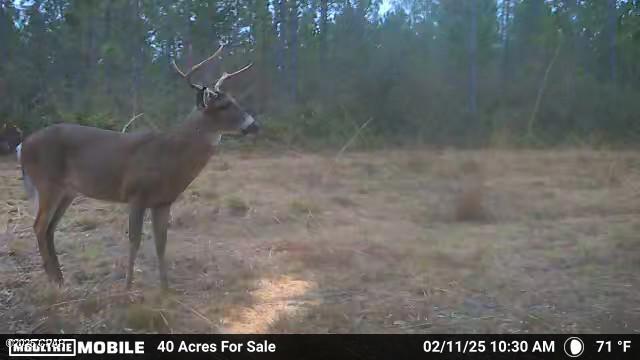 [No Recorded Subdiv] - Land