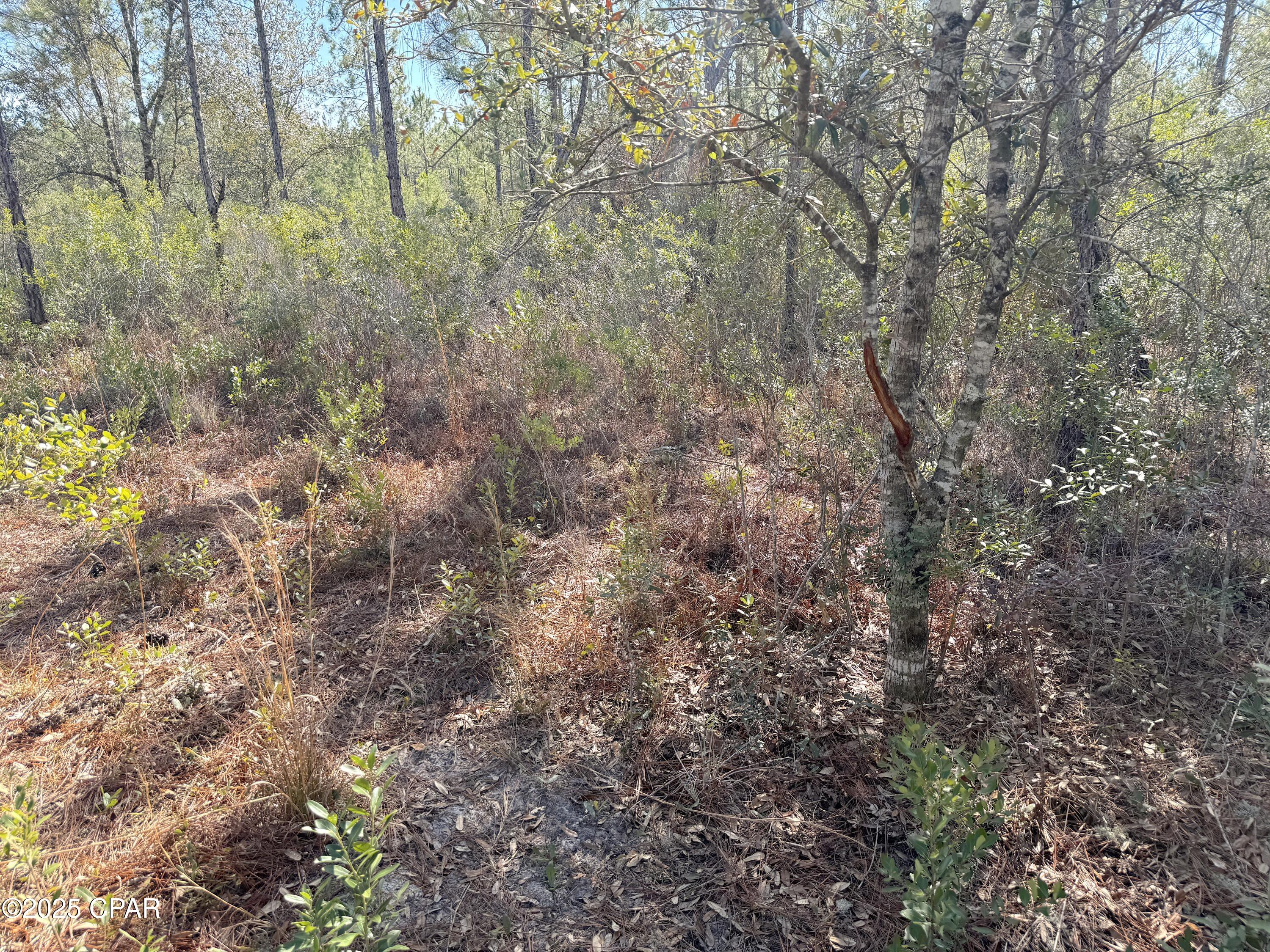 [No Recorded Subdiv] - Land