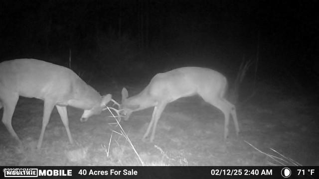 [No Recorded Subdiv] - Land