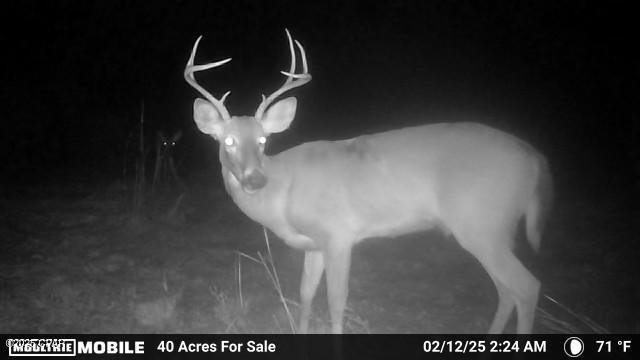 [No Recorded Subdiv] - Land