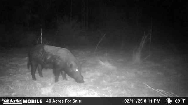 [No Recorded Subdiv] - Land