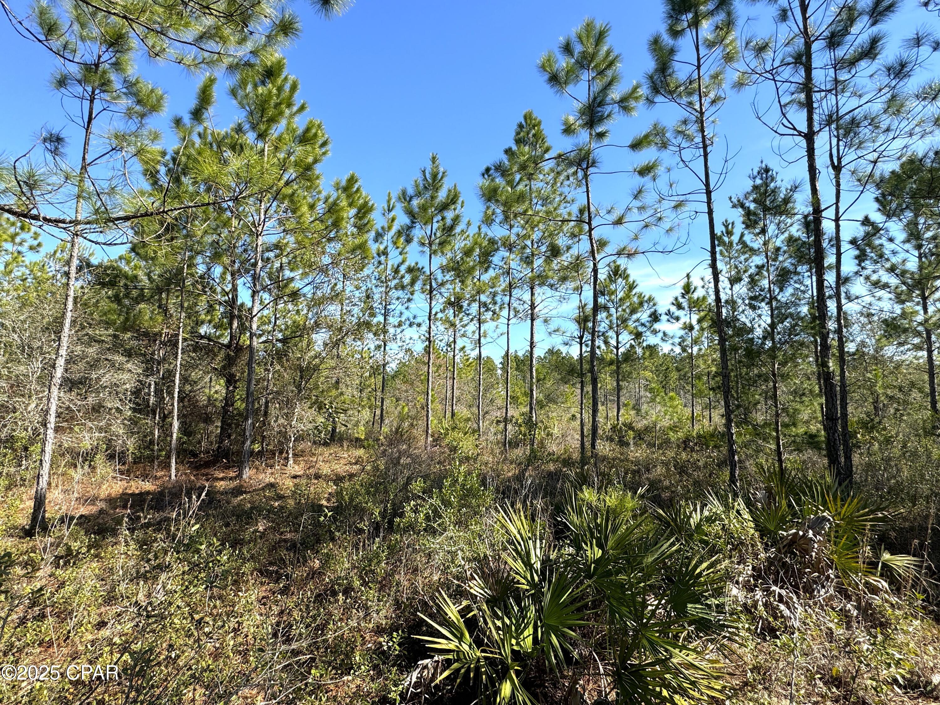 [No Recorded Subdiv] - Land