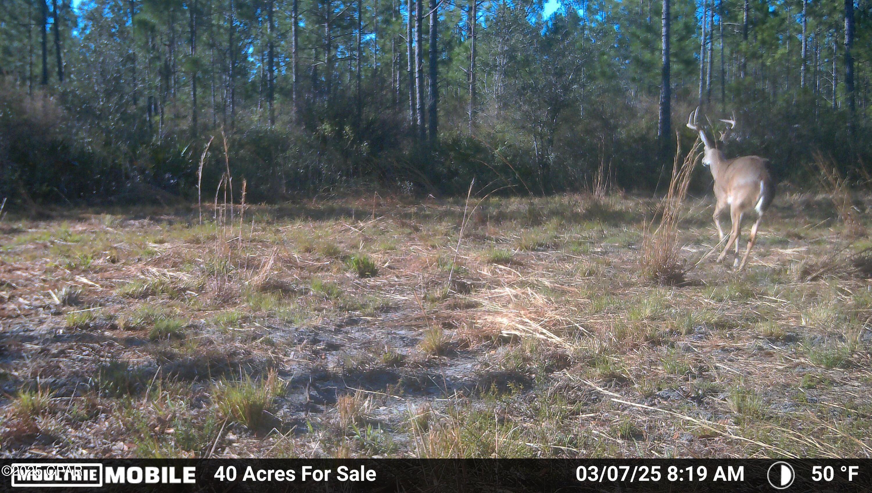 [No Recorded Subdiv] - Land