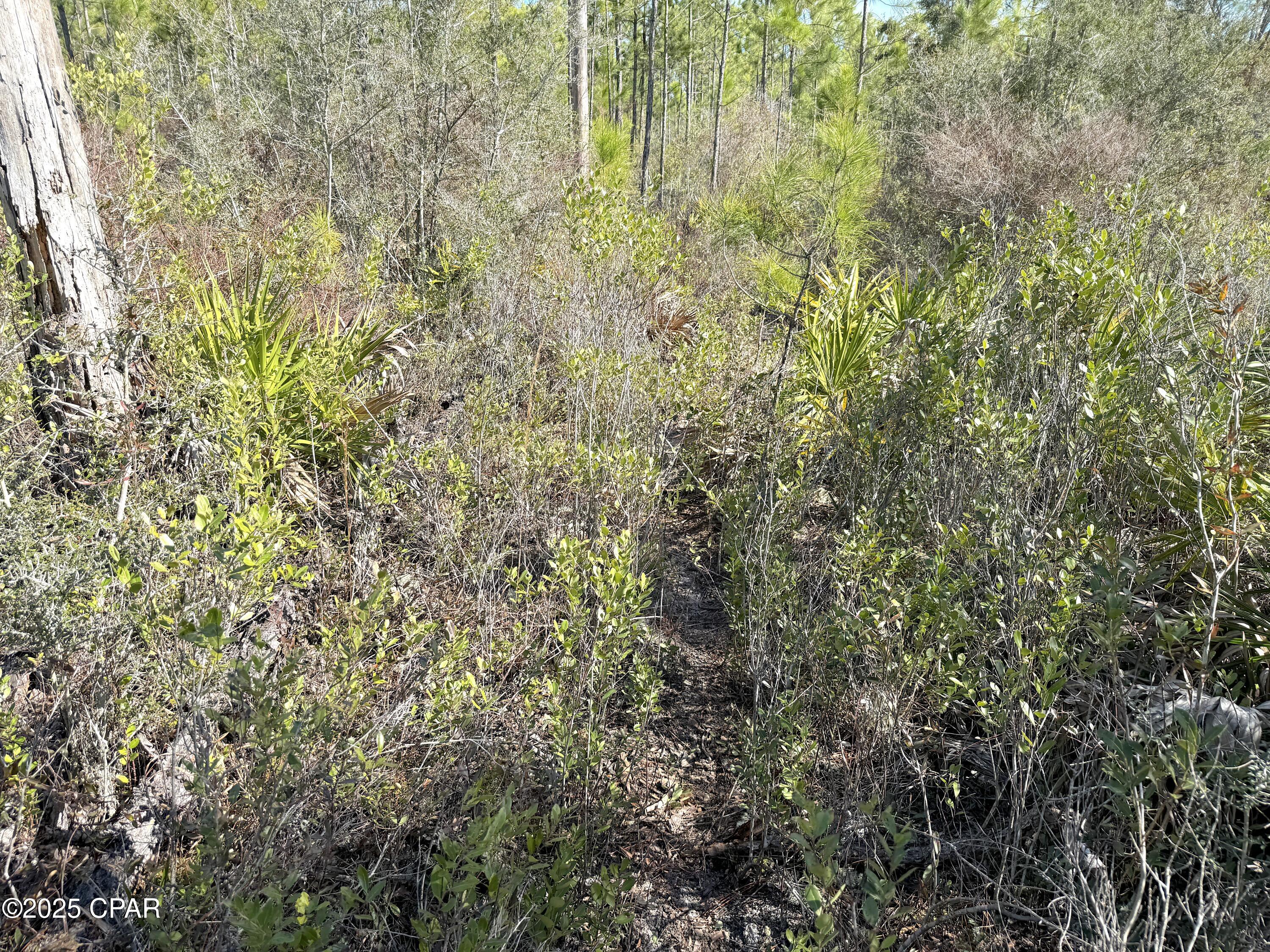 [No Recorded Subdiv] - Land